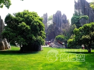 世界遺産 少数民族 を巡る三都物語 麗江 大理 昆明 