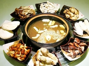 野生の象 少数民族 を巡る 西双版納 シーサンパンナ