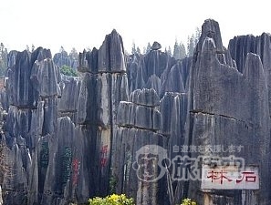 世界遺産 石林 と 西山 龍門 1日 日帰り ツアー