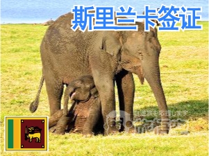 斯里兰卡 签证 斯里兰卡 电子签证 斯里兰卡 个人旅游