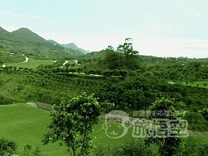 重慶 国際 ゴルフ クラブ