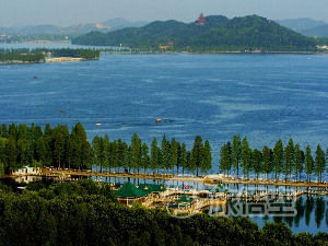 東湖 武漢